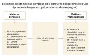 Schéma présentant les épreuves du BTS NDRC